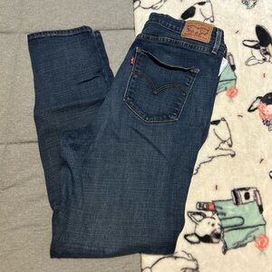 LEVIS 721 High Rise Skinny